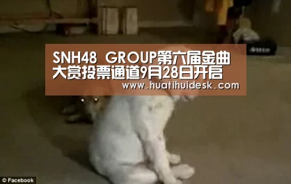 SNH48 GROUP第六届金曲大赏投票通道9月28日开启 三团再度集结羊城对决!‘huatihui’(图2) 华体会首页