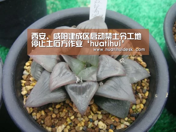 西安、咸阳建成区启动禁土令工地停止土石方作业‘huatihui’(图1)